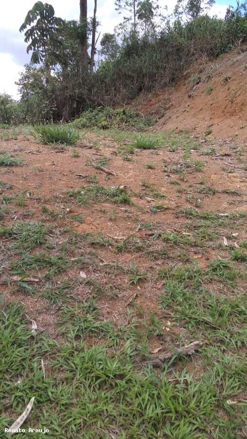 Terreno Residencial à venda em Albuquerque, Teresópolis - RJ - Foto 11