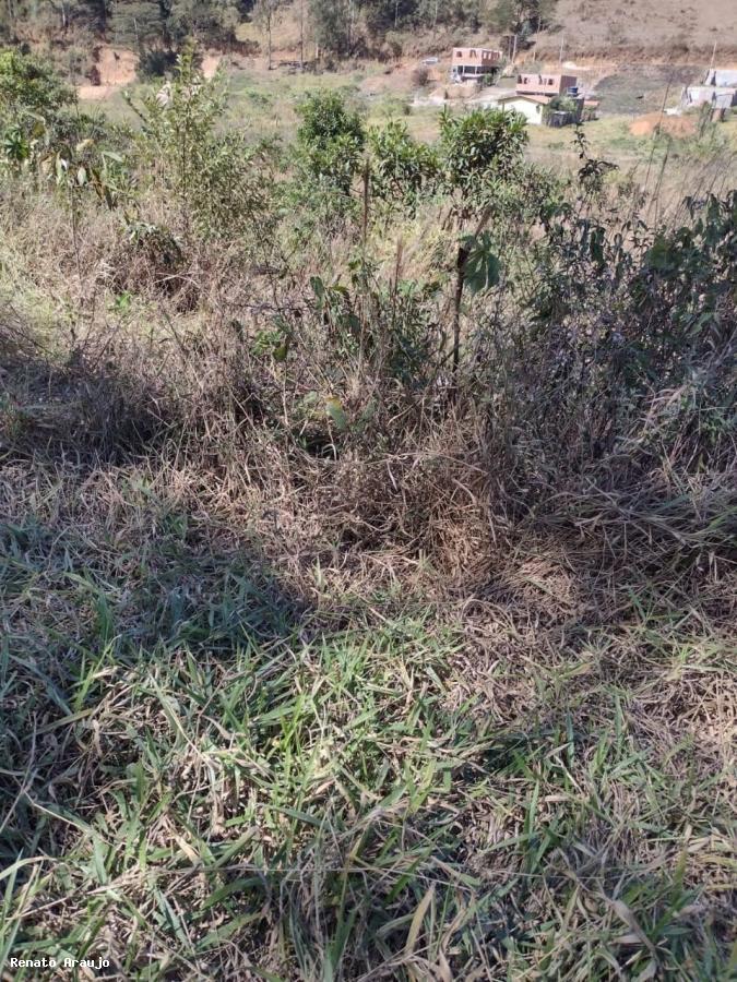 Terreno Residencial à venda em Venda Nova, Teresópolis - RJ - Foto 3