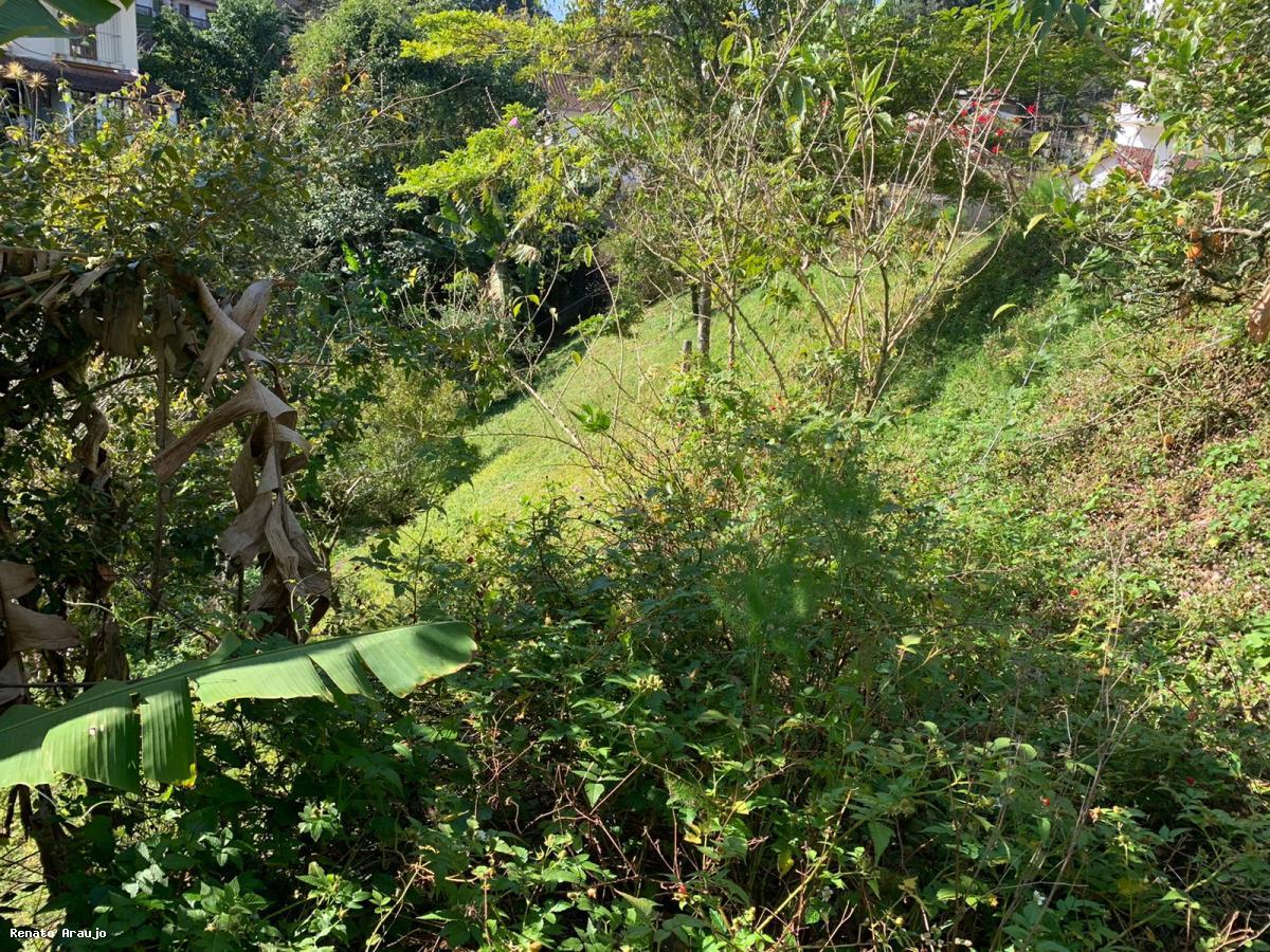 Terreno Residencial à venda em Alto, Teresópolis - RJ - Foto 2