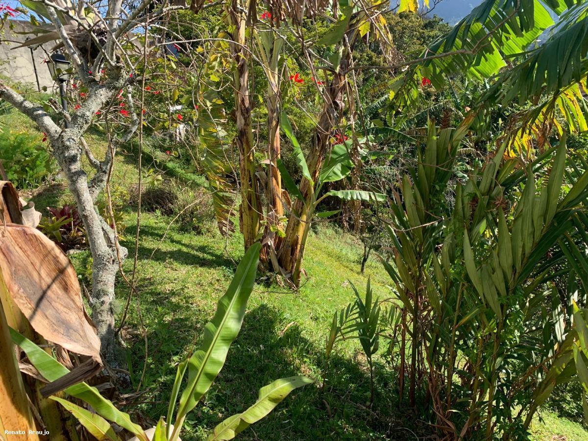 Terreno Residencial à venda em Alto, Teresópolis - RJ - Foto 4