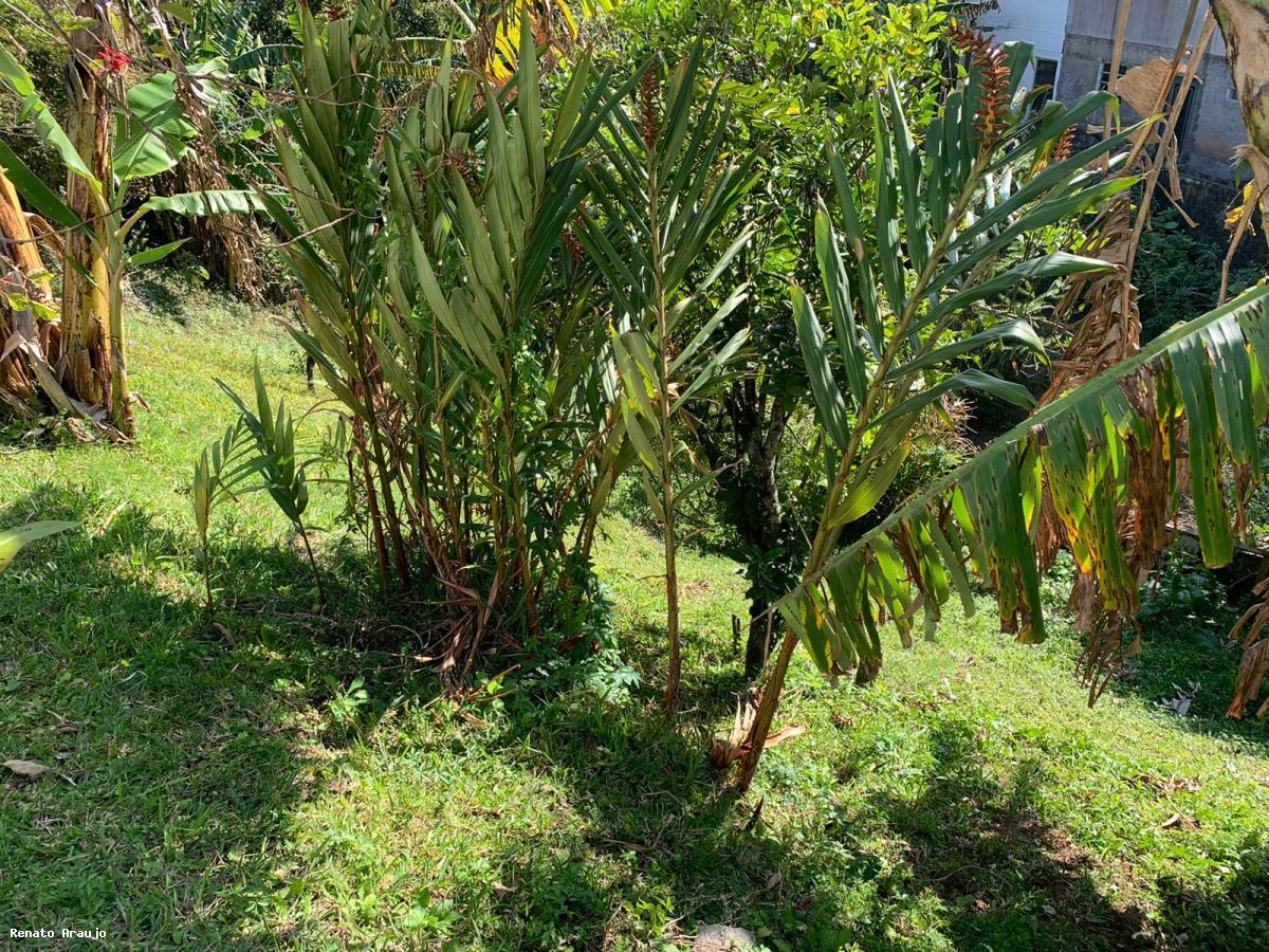 Terreno Residencial à venda em Alto, Teresópolis - RJ - Foto 5