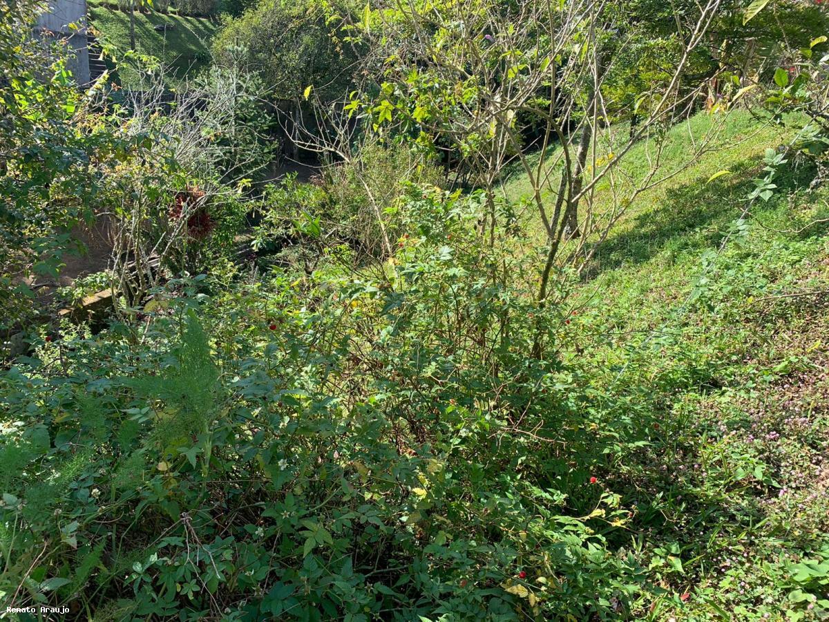 Terreno Residencial à venda em Alto, Teresópolis - RJ - Foto 7