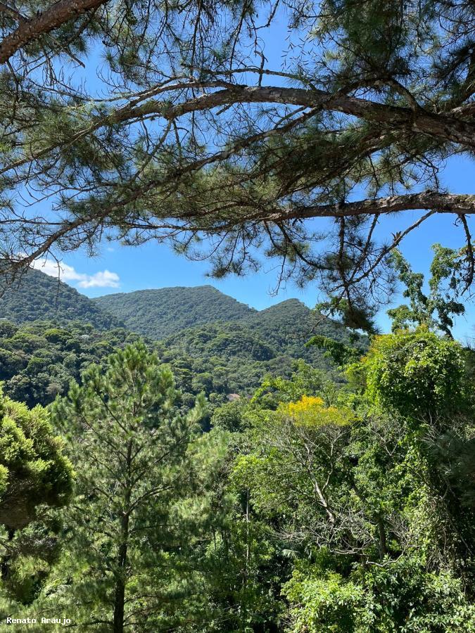 Casa à venda em Carlos Guinle, Teresópolis - RJ - Foto 6