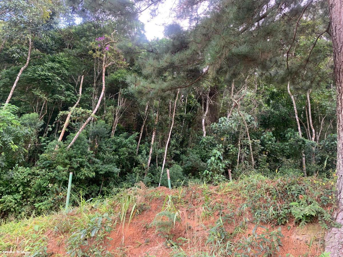 Terreno Residencial à venda em Bom Retiro, Teresópolis - RJ - Foto 8