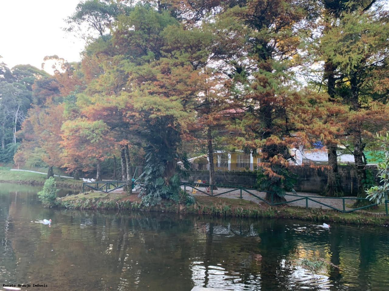 Terreno Residencial à venda em Carlos Guinle, Teresópolis - RJ - Foto 2