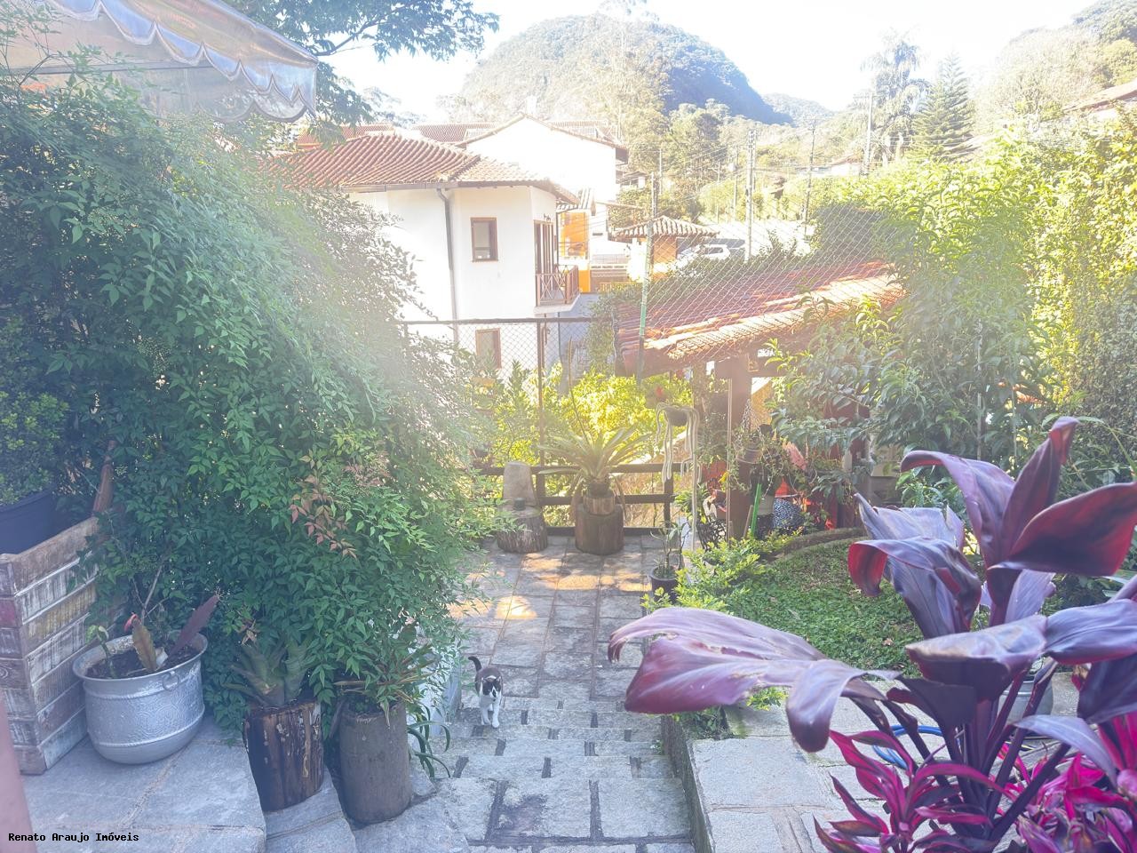 Casa à venda em Alto, Teresópolis - RJ - Foto 3